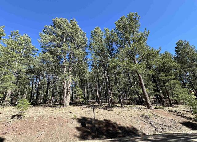 Property at Back Basin Rd, Angel Fire, NM 87710