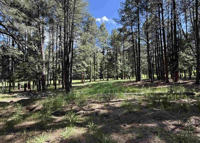 Property at Lot 940 White Sands Cir, Angel Fire, NM 87710