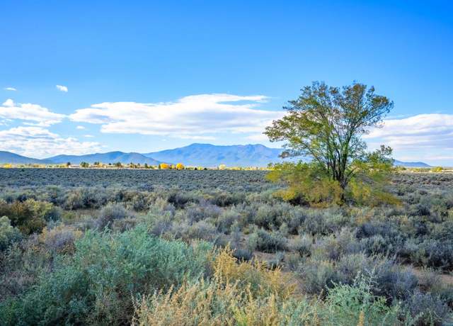 Property at 0 Paseo Del Canon And Weimer Rd, Taos, NM 87571