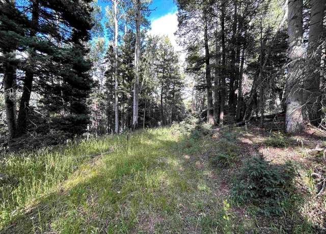Property at 2 Back Basin Rd, Angel Fire, NM 87710
