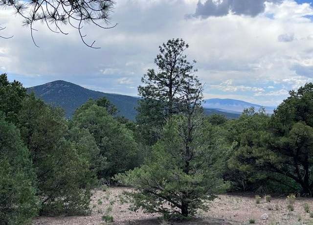 Property at Lot 56 Upper Pinabete, Questa, NM 87556