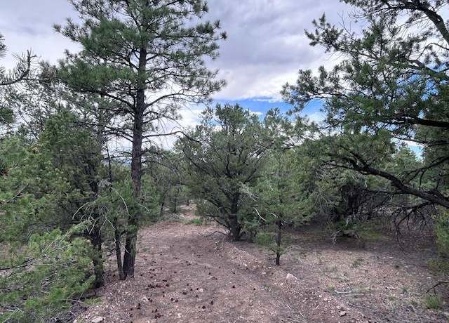 Property at Lot 61 Upper Pinabete, Questa, NM 87556