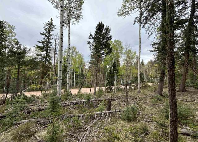 Property at Lot 132 Rio Grande Ter, Angel Fire, NM 87710