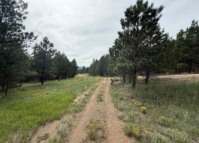 Property at Lots 18 and 19 Lower Rd, Angel Fire, NM 87710