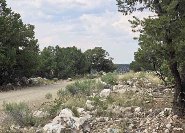 Property at Lobo Ranch Rd, Arroyo Hondo, NM 87513