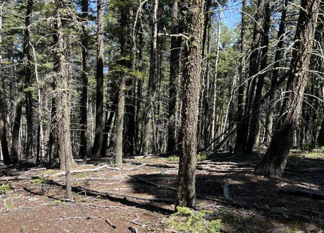 Property at Lot 14 Back Basin Rd, Angel Fire, NM 87710