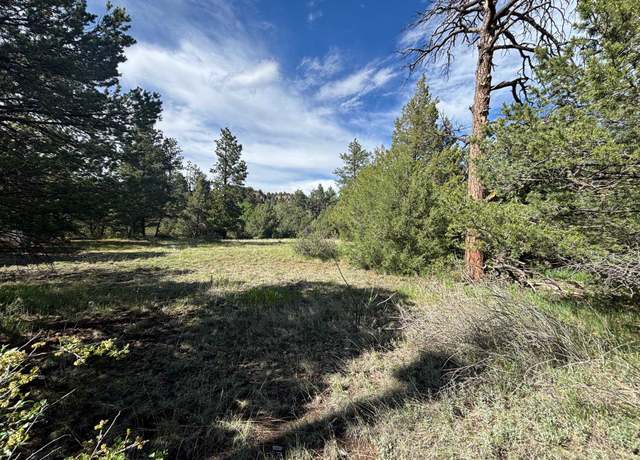 Property at 29655 Hwy 64, Ute Park, NM 87749