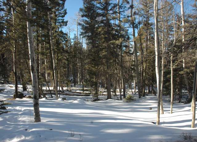 Property at Taos Dr, Angel Fire, NM 87710