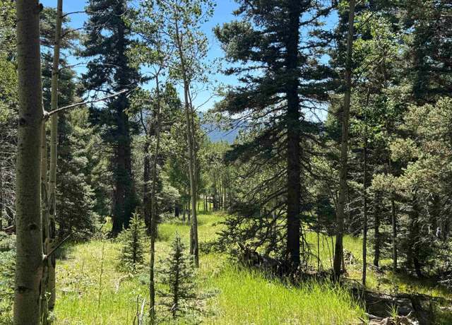 Property at Lot 1012 El Camino Real, Angel Fire, NM 87710
