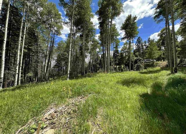 Property at Lot 1433 Calle De Los Caballeros, Angel Fire, NM 87710