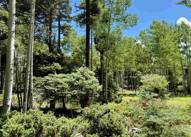 Property at Lot 100 Zia Rd, Angel Fire, NM 87710