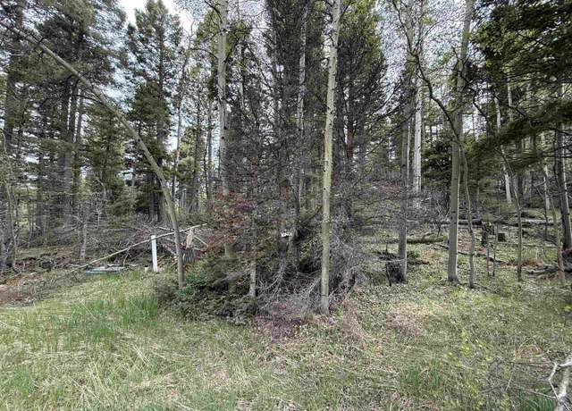 Property at Lot 74 Vermejo Cir, Angel Fire, NM 87710