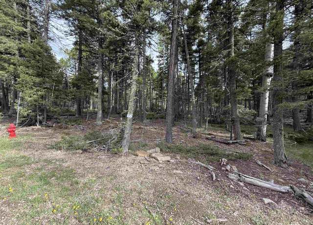 Property at Lot 76 Vermejo Cir, Angel Fire, NM 87710