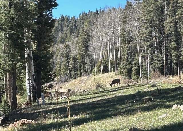 Property at Lot 1567 Cascade Overlook, Angel Fire, NM 87710