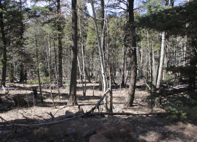 Property at lot 264 El Camino Real, Angel Fire, NM 87710