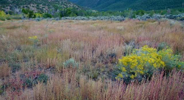 Photo of Tract A Witt Rd, Taos, NM 87571