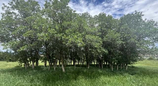 Photo of 82 Upper Llano Rd, Llano, NM 87543