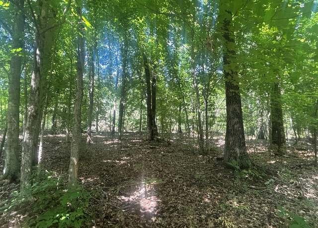 Property at Coal Road Loop, Crofton, KY 42217