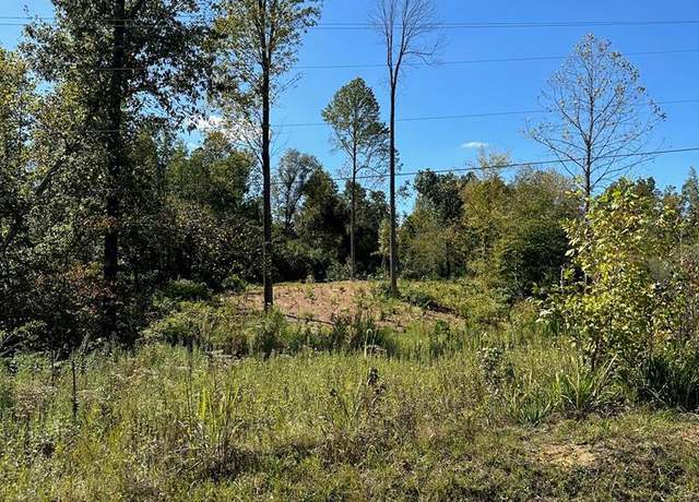 Property at Flat Crk, Madisonville, KY 42431