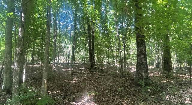 Photo of Coal Road Loop, Crofton, KY 42217
