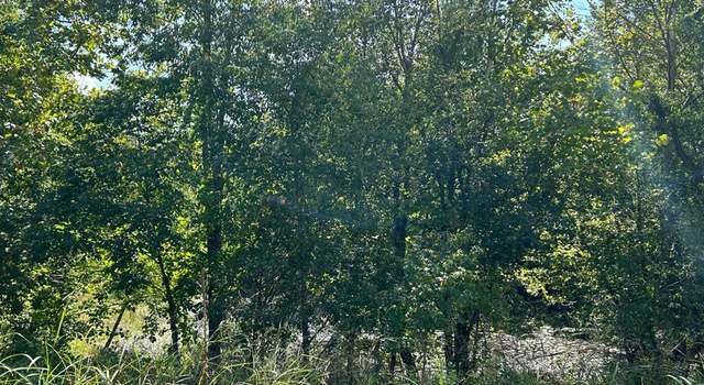 Photo of Buffalo Trce, Madisonville, KY 42431