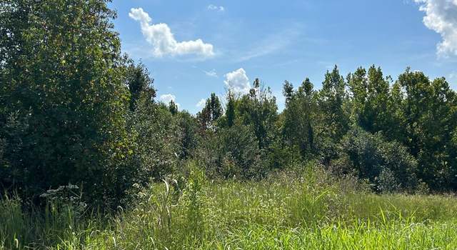 Photo of Buffalo Trce, Madisonville, KY 42431
