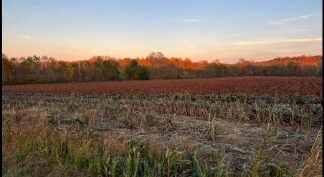 Photo of High Glory Rd, Nebo, KY 42441