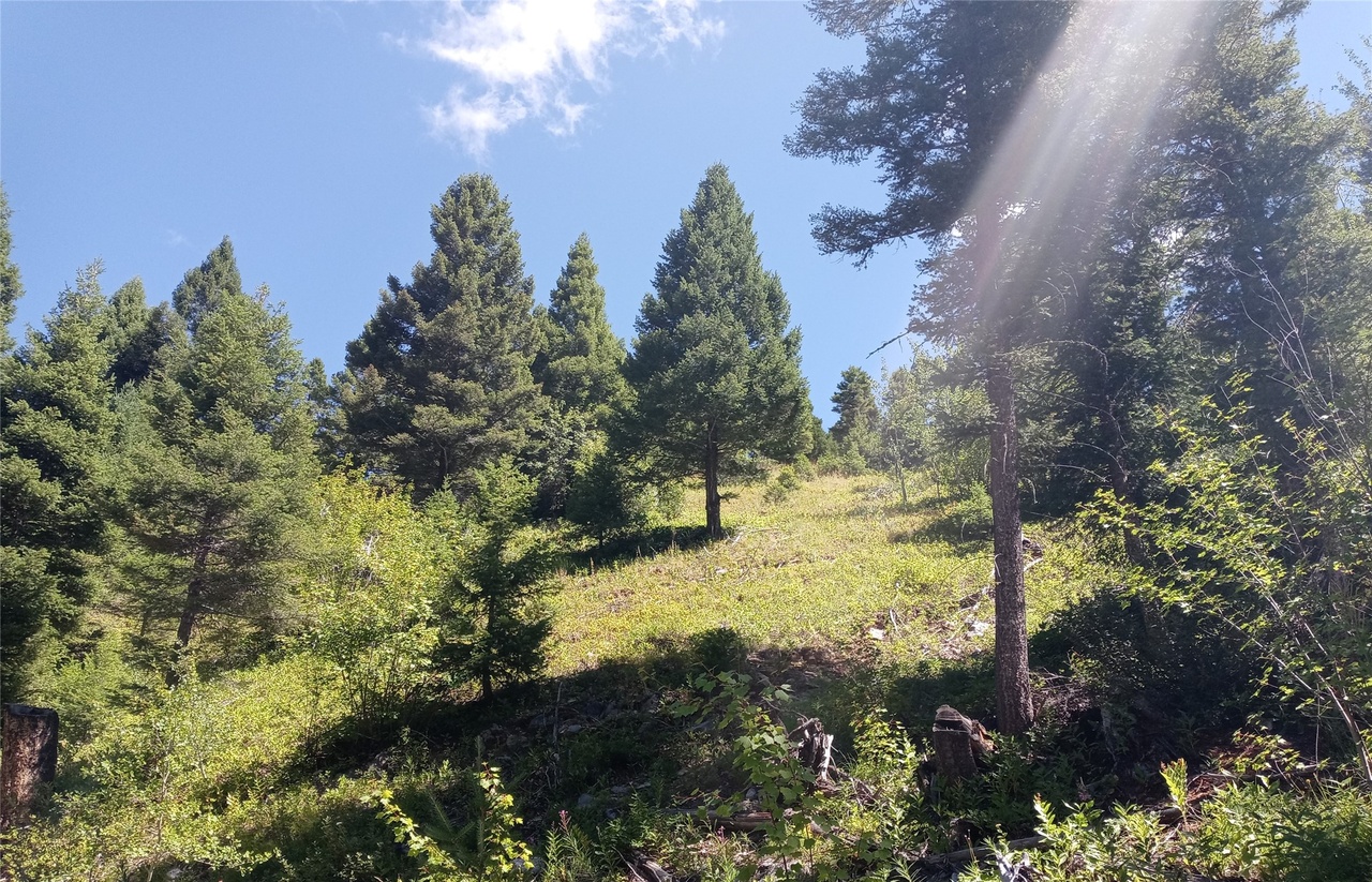 NHN Hwy 93, Missoula, MT 59808 MLS 30004705 Redfin