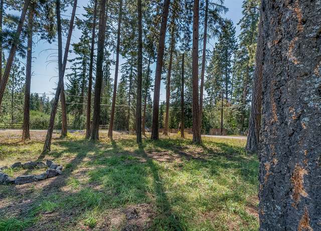 Property at NHN Yenne Point Rd, Bigfork, MT 59911