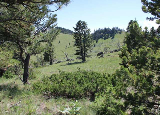 Property at TBD Black Canyon Ln, Cascade, MT 59421