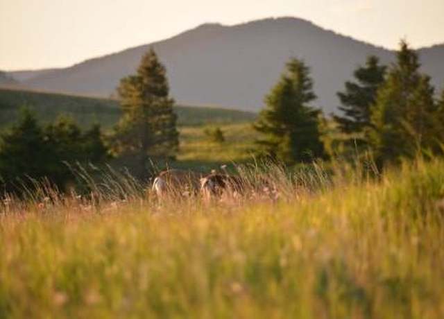 Property at TBD Logging Creek Rd, Monarch, MT 59463