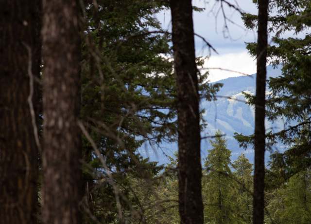 Property at 149 Rosewood Ln, Whitefish, MT 59937