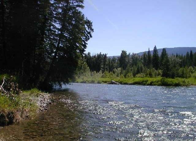 Property at NHN Old Mill Rd, Bigfork, MT 59911