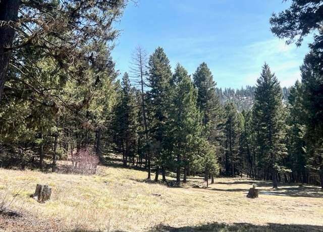 Property at 990 Elkhorn Rd, Seeley Lake, MT 59868