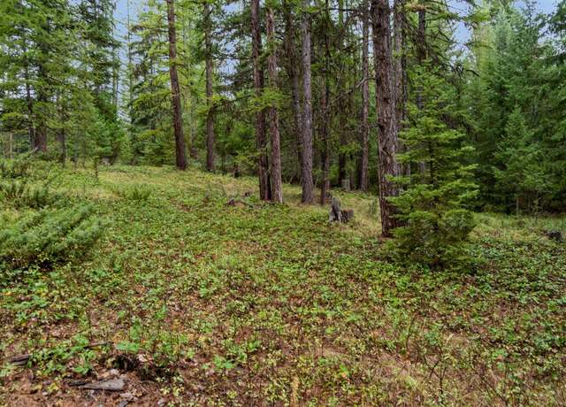 Property at NHN Bear Trap Rd, Rexford, MT 59930