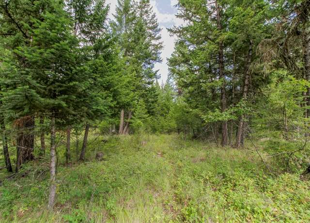 Property at 301 Haskill Ranch Rd, Kila, MT 59920