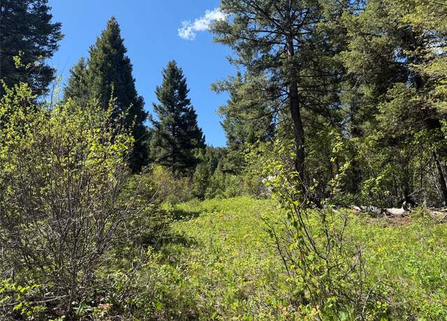 Property at NHN Camas Springs Rd, Potomac, MT 59823