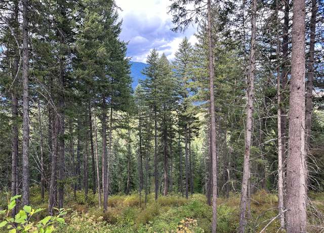 Property at NHN MT Hwy 200, Trout Creek, MT 59874