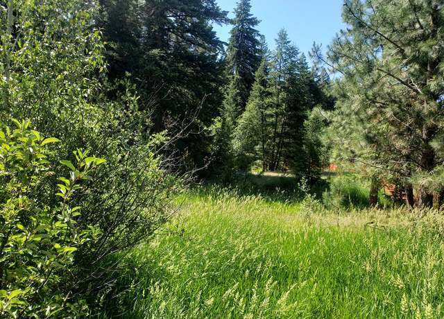 Property at 141 Lick Creek Rd, Hamilton, MT 59840