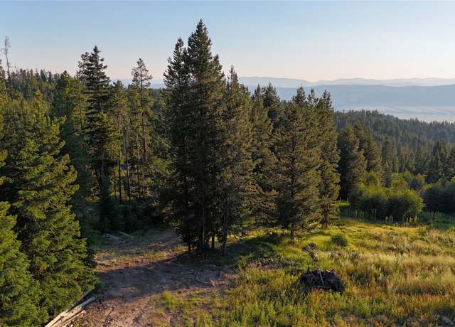 Property at 54 S Granite Rd, Philipsburg, MT 59858