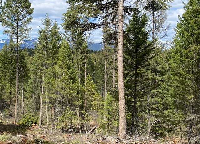 Property at NHN Soaring Eagle Dr, Whitefish, MT 59937