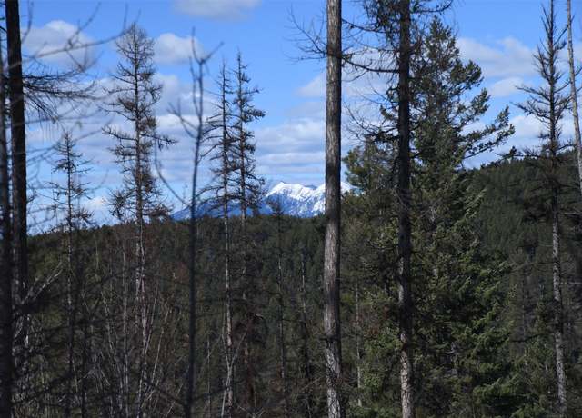 Property at 205 Timberjack Trl, Bigfork, MT 59911