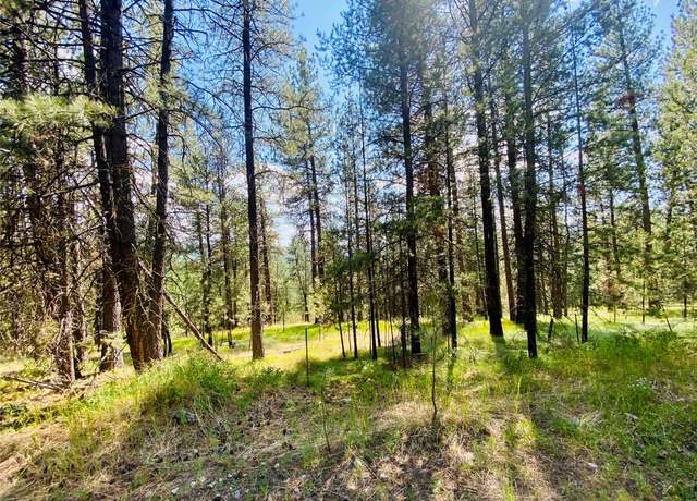 Property at 2890 Lower Lost Prairie Rd, Marion, MT 59925