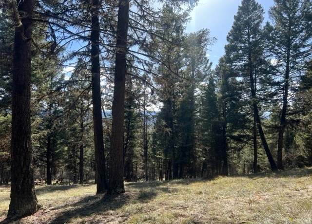 Property at 240 Wolverine Dr, Seeley Lake, MT 59868