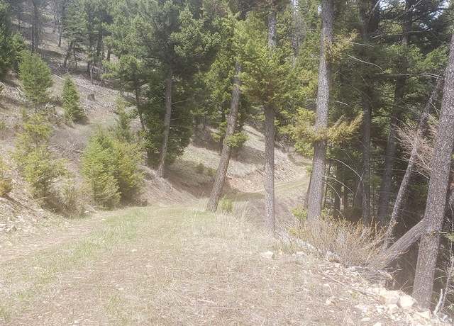 Property at NHN Wyman Gulch Rd, Philipsburg, MT 59858