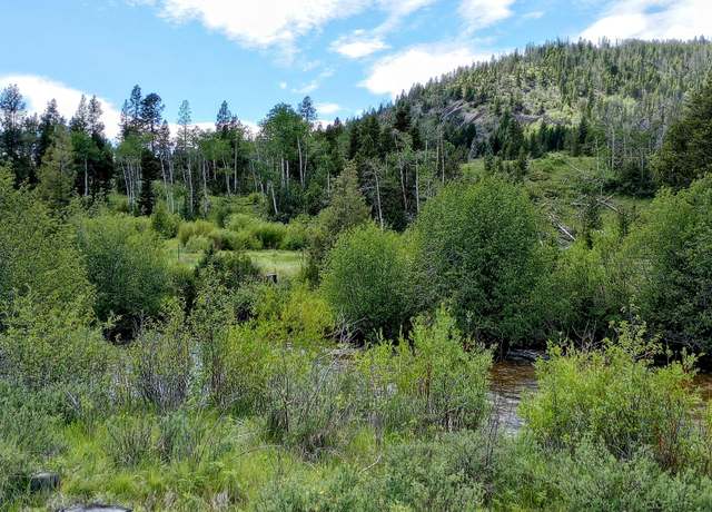 Property at TBD Moose Lake Rd, Philipsburg, MT 59858
