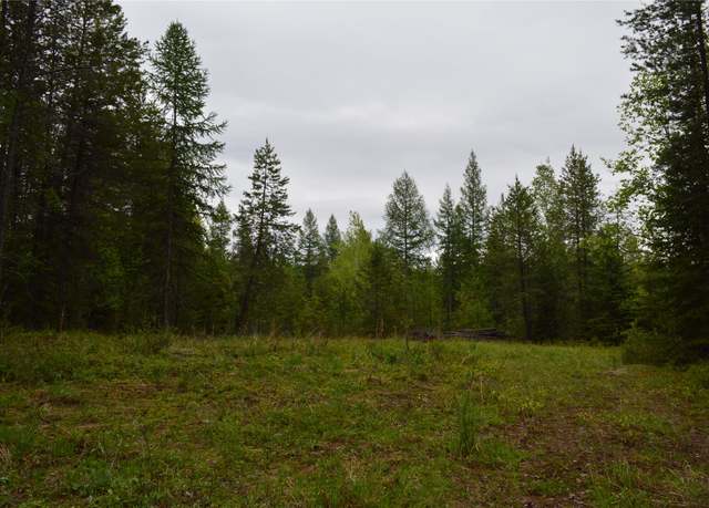 Property at 2931 Witty Ln, Columbia Falls, MT 59912