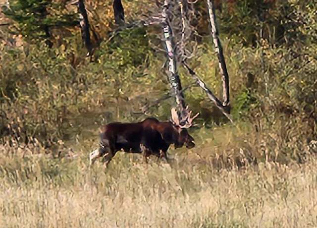 Property at NHN Chestnut Rd, Bozeman, MT 59715