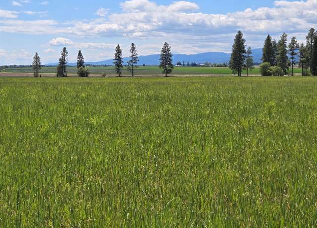 Property at 175 Spruce Meadows Ln, Kalispell, MT 59901