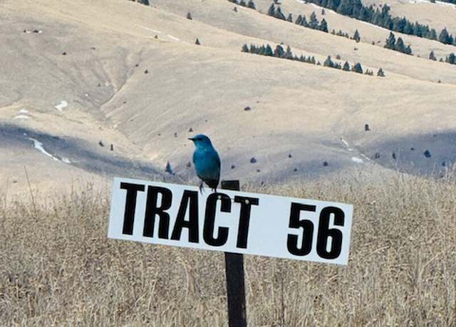 Property at NHN Stevie Ln, Philipsburg, MT 59858